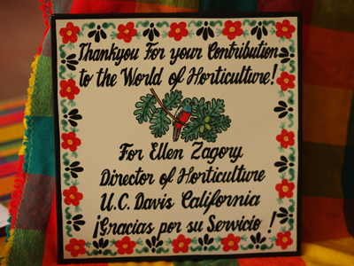 Award