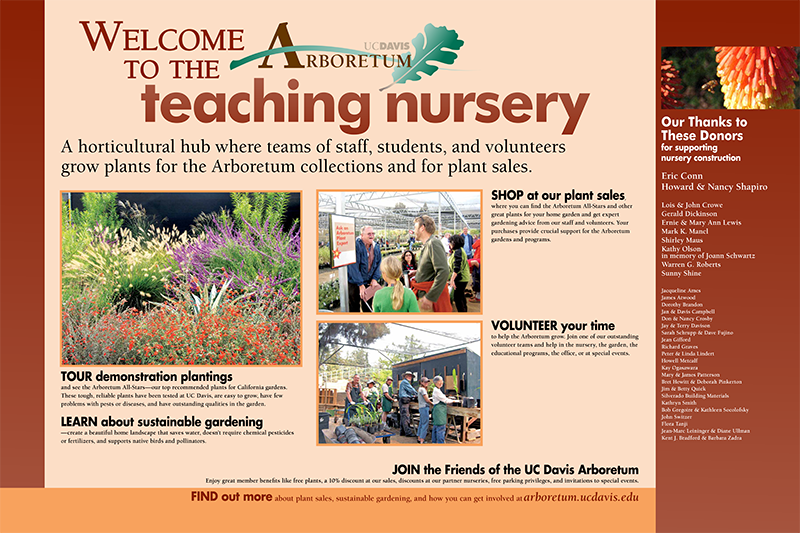 Teaching Nursery
