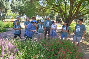 Habitat Restoration and Naturalized Land Management