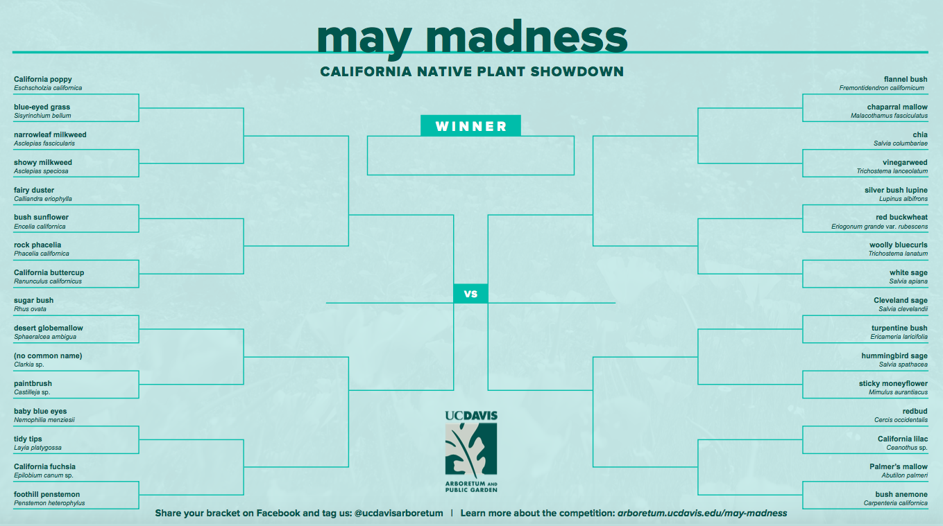 May Madness bracket