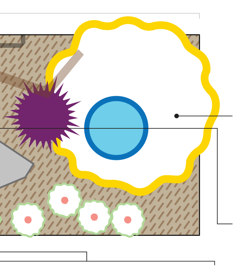 Thumbnail image of pollinator planting plan.