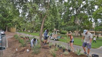 2017-18 Sustainable Horticulture Intern Recruitment