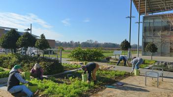 Re-envisioning the UC Davis Good Life Garden post construction