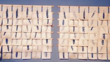 Feather Art