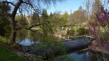 Waterway png 1
