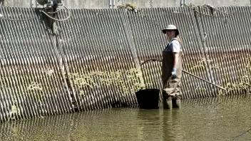 waterway stewardship 4