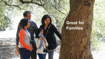 Great for Families