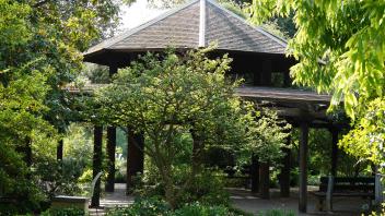 Arboretum Gazebo