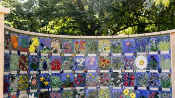 upper part of the nature's court tiles