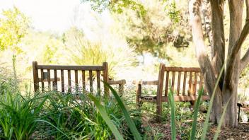 bench in the arboretum
