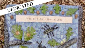 White Oak plaque