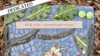 Bur Oak plaque