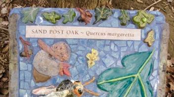 Sand Post Oak plaque