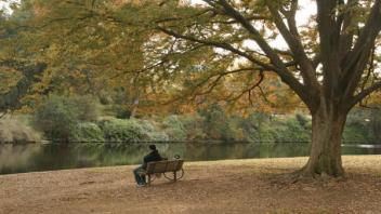 bench in the arboretum
