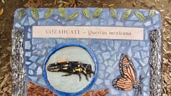 Cozahuatl plaque