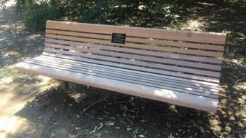 wooden bench in the arboretum