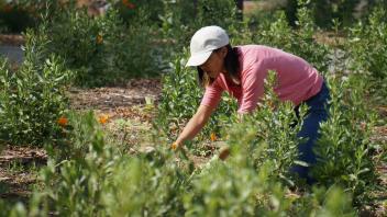 photo of volunteer