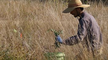 photo of student volunteering