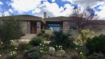 Lively front garden
