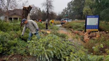 Crews chop and remove a fallen tree from a walking/biking path