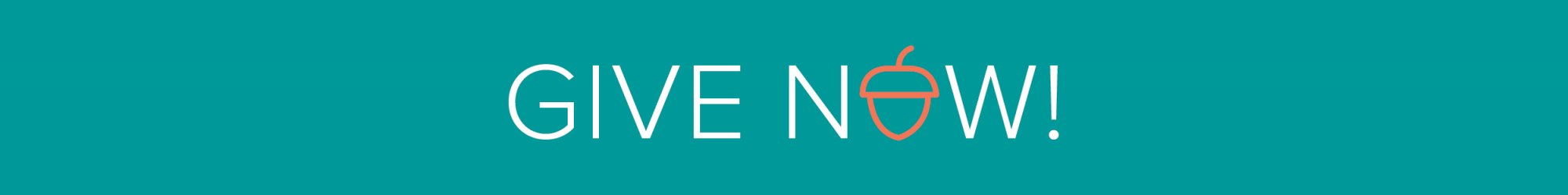 Image of Give Now graphic that leads to Big Day of Giving page.