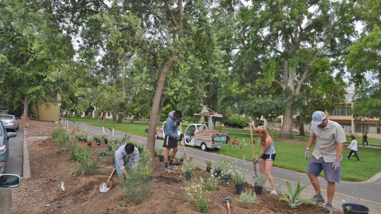 2017-18 Sustainable Horticulture Intern Recruitment