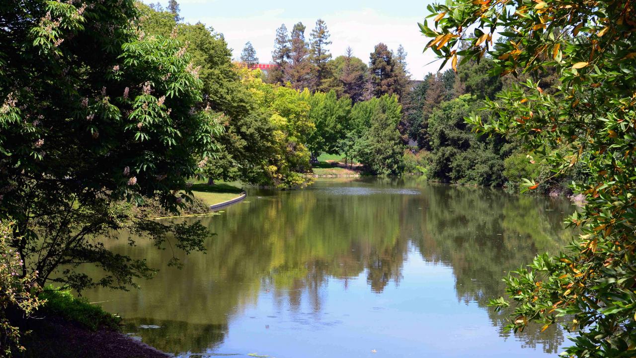 Arboretum banner cover