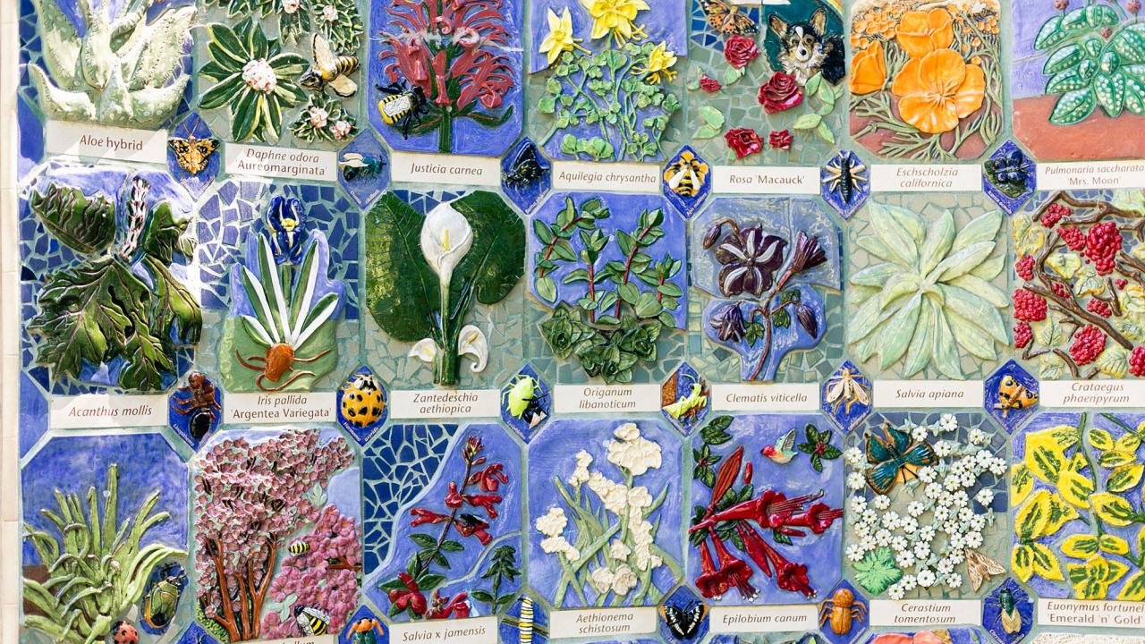 nature's court gallery