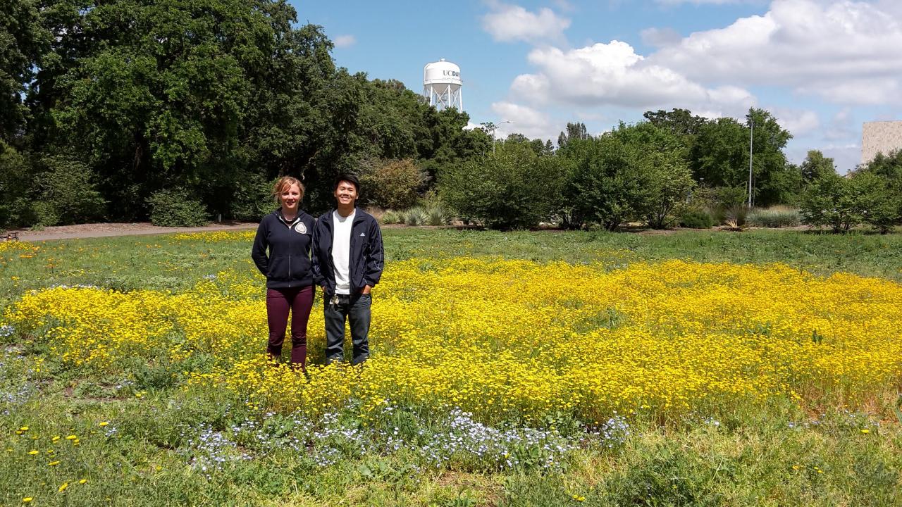 Image of Learning by Leading Sustainable Horticulture interns in a student-planted wildflower meadow.