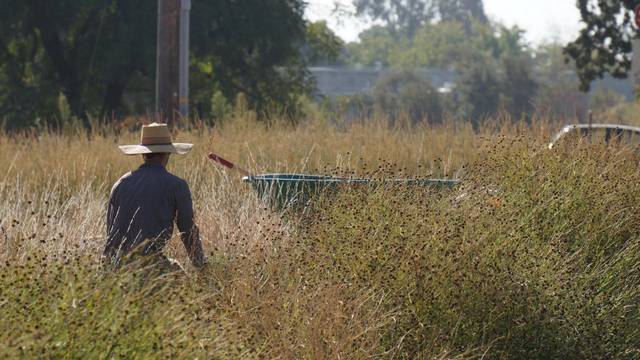 photo of student volunteer