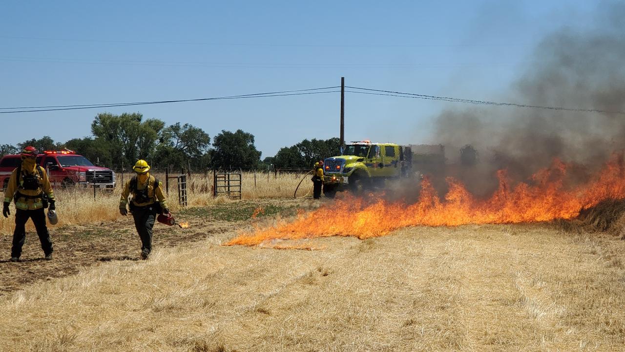 Firefighters participating in wildland fire training
