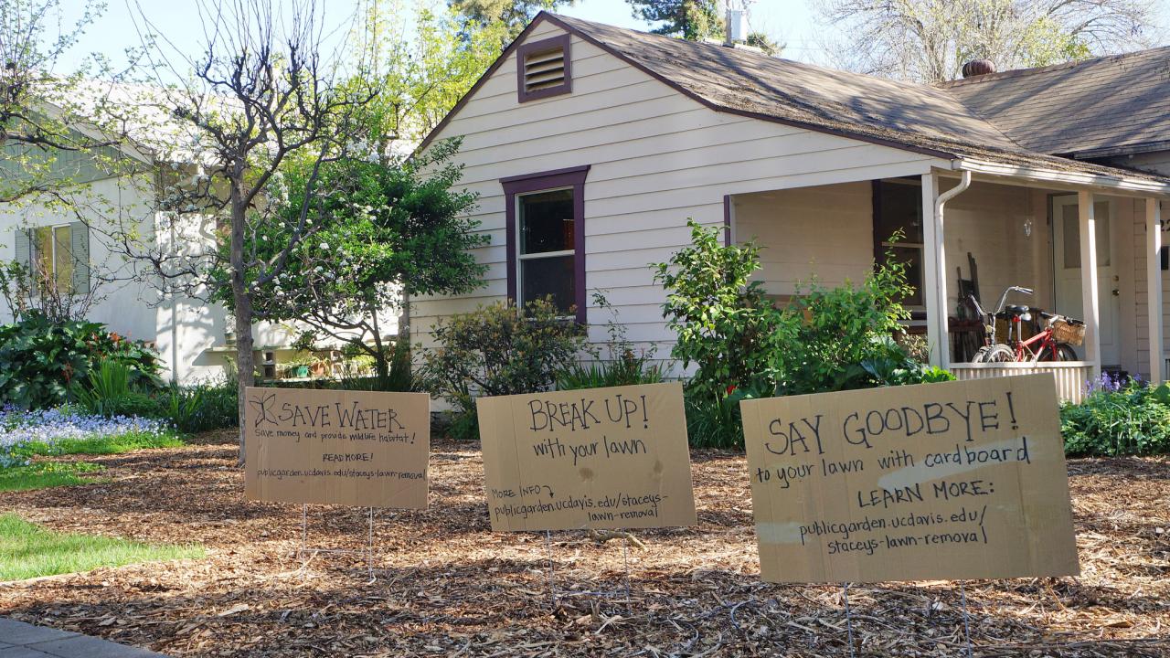 As part of Stacey Parker's lawn removal process, she covered her lawn with cardboard and mulch. Signs were added to encourage others to do the same. Image of Stacey Parker's lawn during the sheet mulching / lawn removal process.