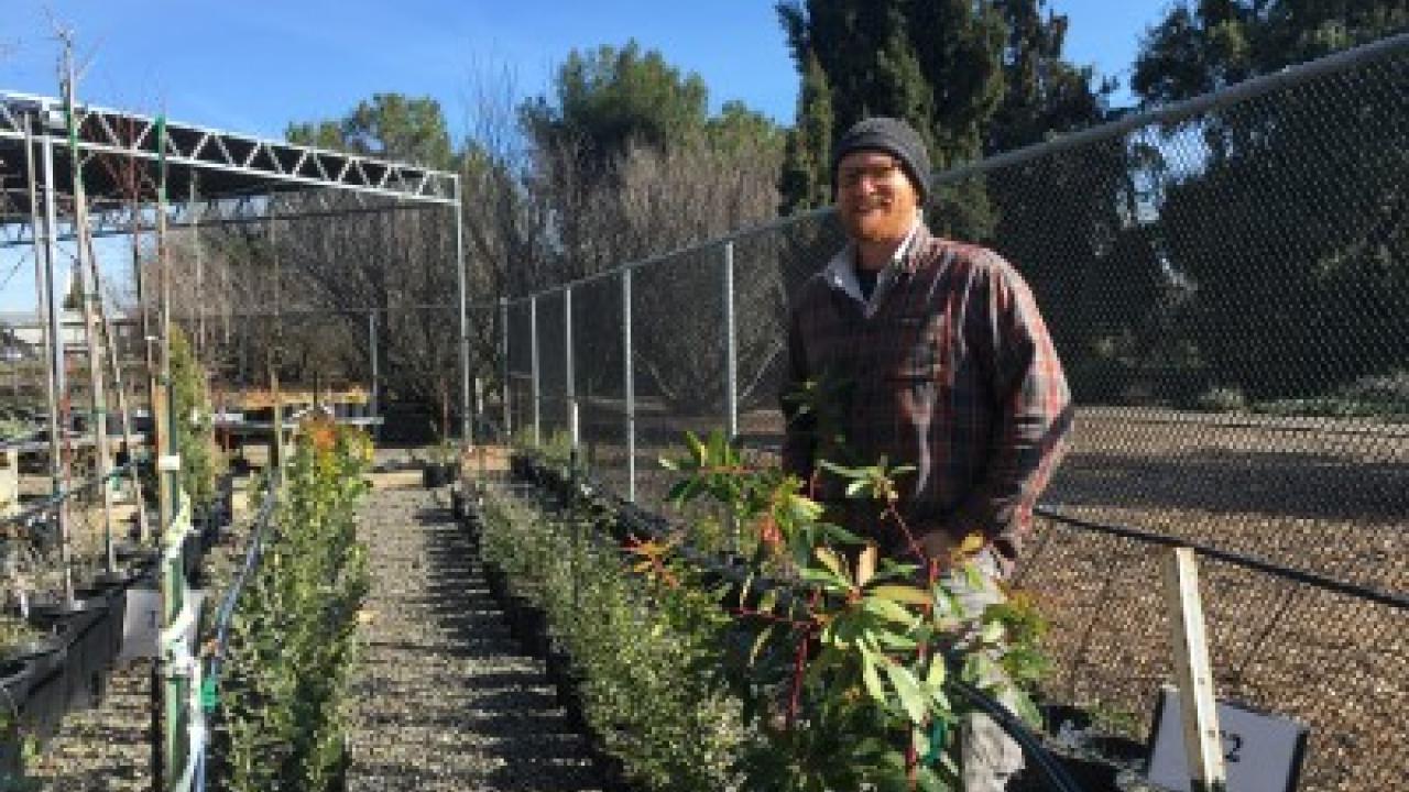 Nursery Manager, Taylor Lewis, at the UC Davis Arboretum Teaching Nursery standing next to the irrigation system that student interns built. Taylor Lewis