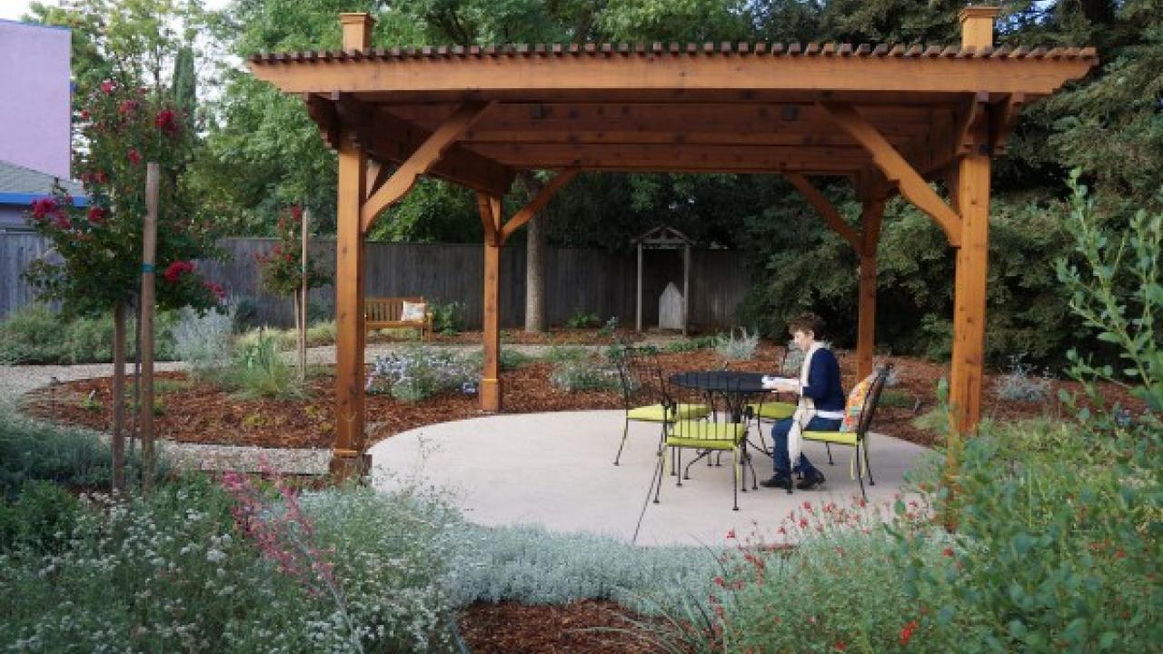 In fall 2014 Ria de Grassi filled her yard with UC Davis Arboretum All-Stars and other low-water, regionally-appropriate plants. Here, one year later, she enjoys the space while reading in her outdoor seating area. Ria de Grassi