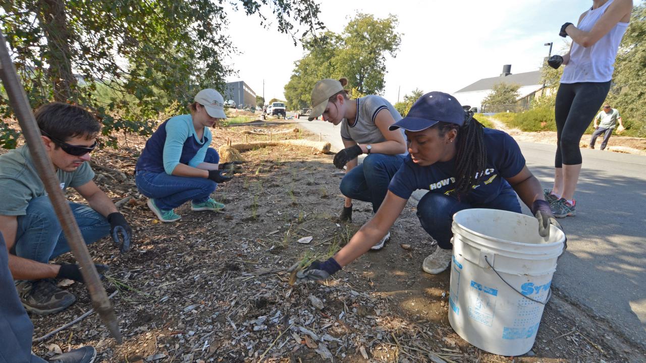 Image of Learning by Leading students restoring a landscape along Hopkins Road.