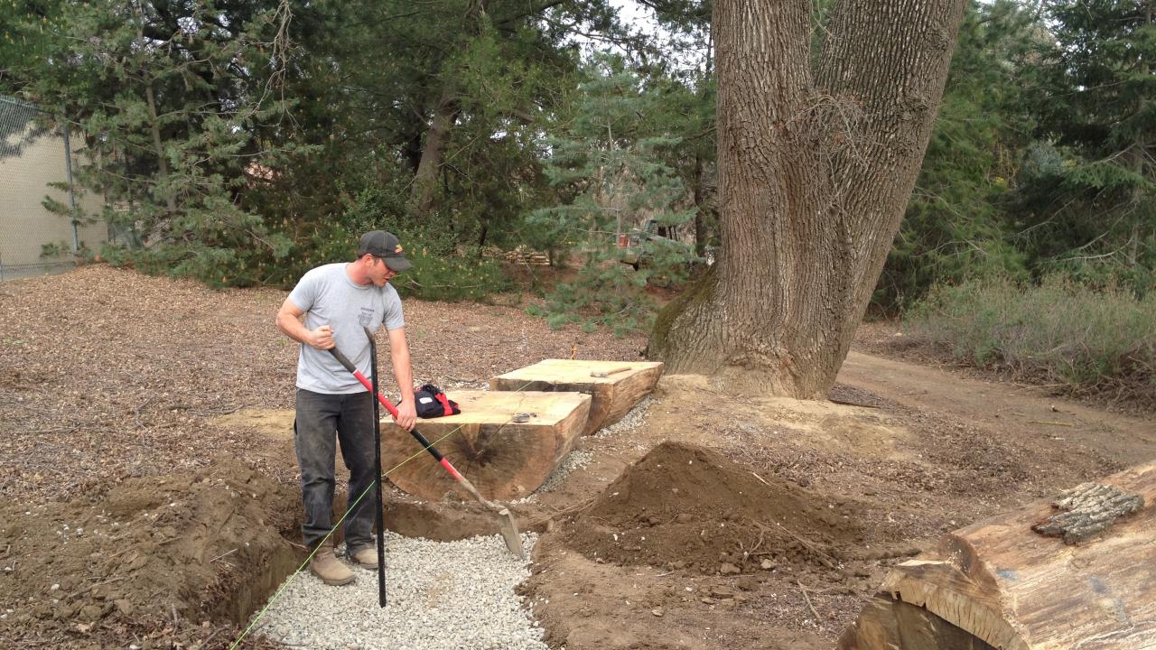 John Gainey, Learning by Leading intern, created a design for the UC Davis Animal Science GATEway Garden and now works to construct his vision. Image of John Gainey constructing his design for the UC Davis Animal Science GATEway Garden.