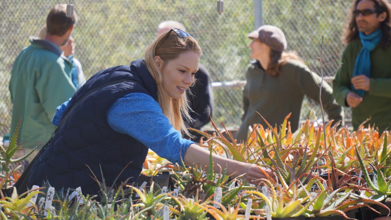 A picture of someone at the Plant Sales.