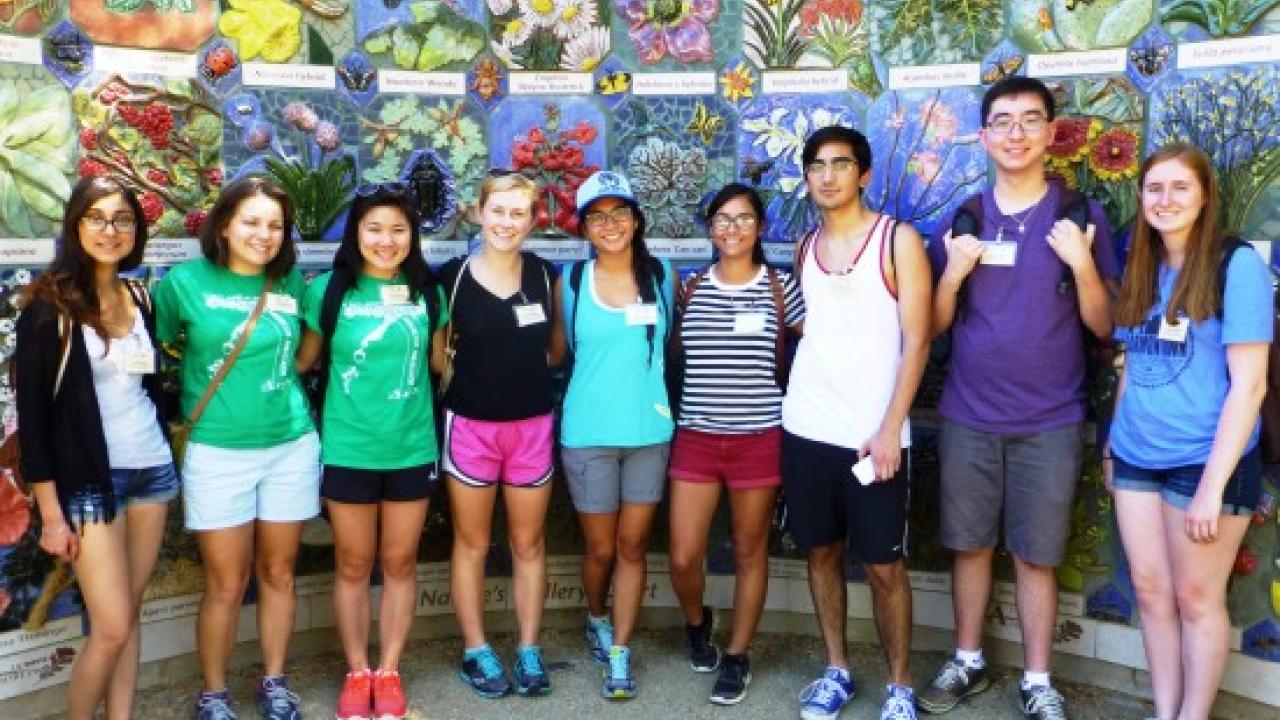 Arboretum Ambassadors receive gold level service award
