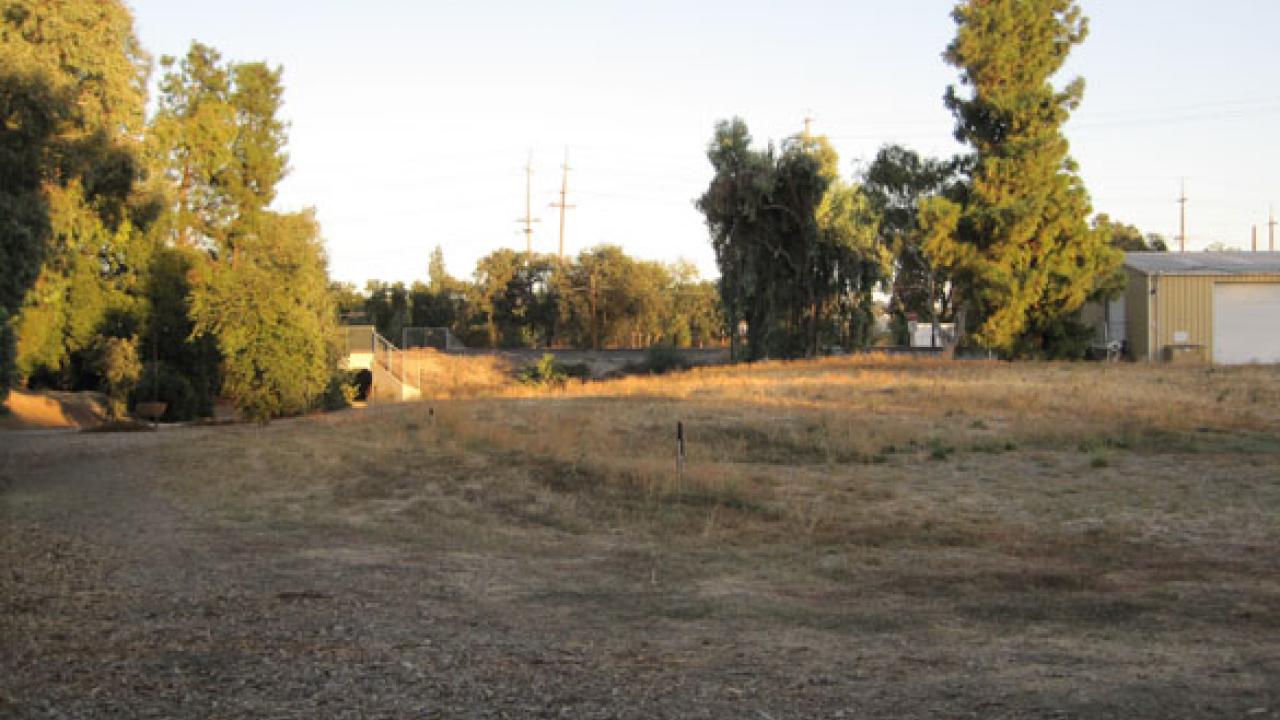 Davis Commons and the Australian Collection of the Arboretum