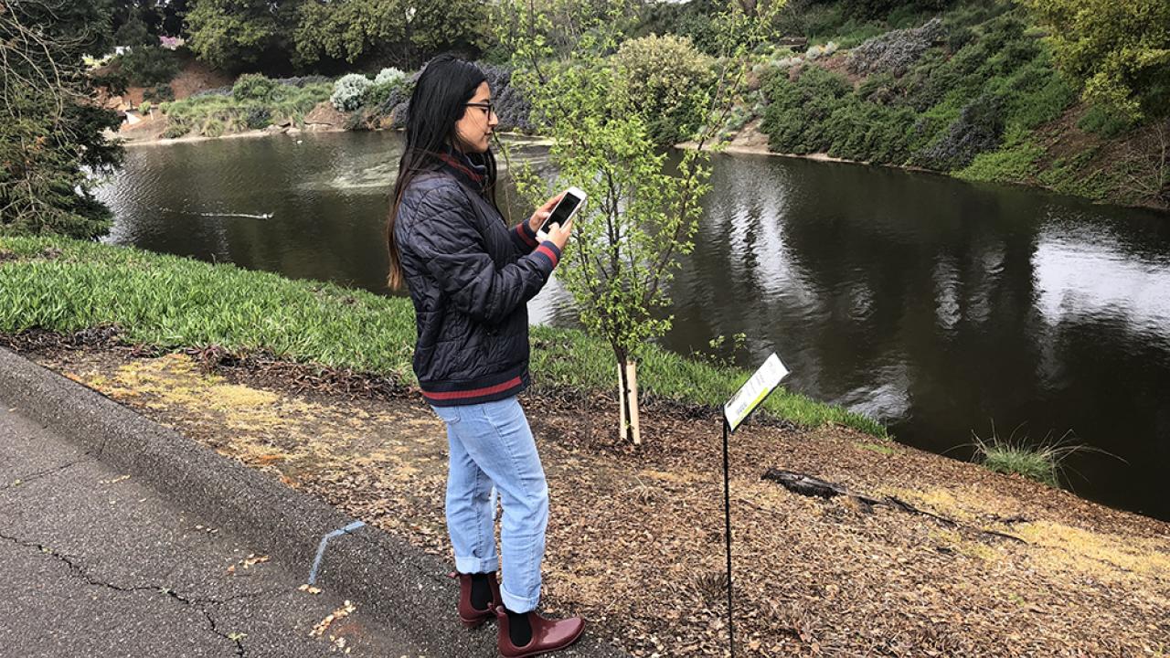 Image of water quality survey taker in the UC Davis Arboretum.