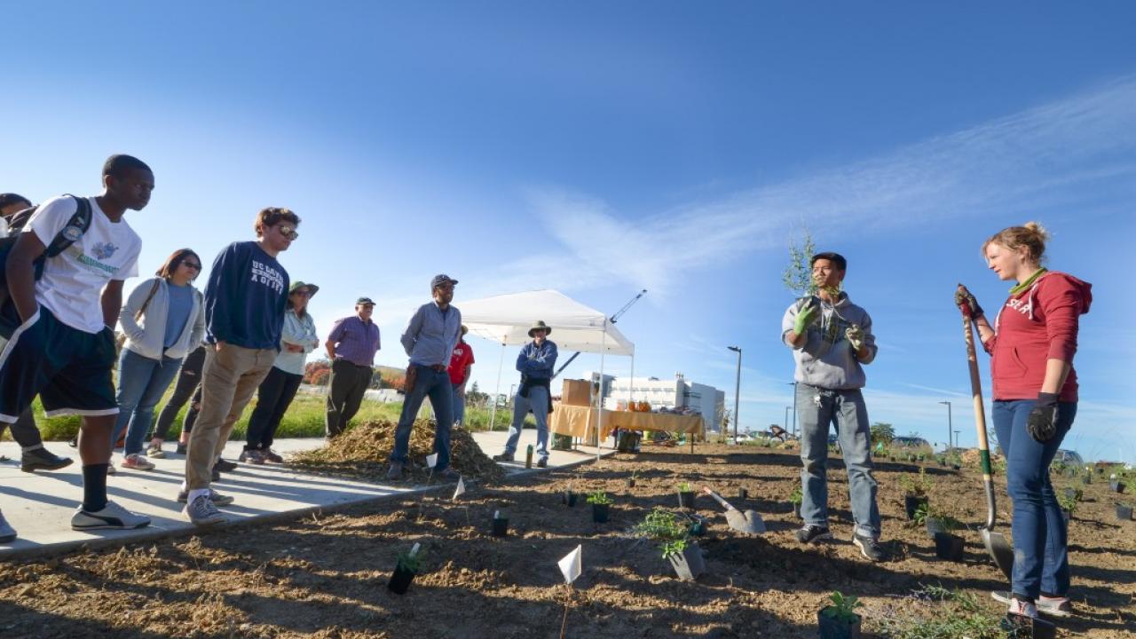 Sustainable Horticulture Student Coordinators Nguyen Nguyen and Kathy Geurtze teach a group of volunteers in proper planting techniques. This team helped landscape a new pollinator display garden in the west end of the Arboretum. Sustainable Horticulture Student Coordinators Nguyen Nguyen and Kathy Geurtze teach a group of volunteers in proper planting techniques. This team helped landscape a new pollinator display garden in the west end of the Arboretum.