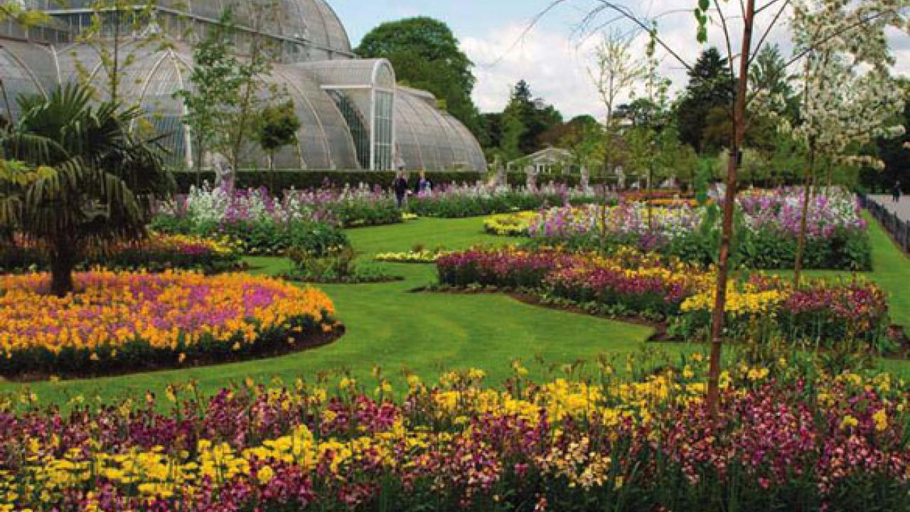 Palm House at the Royal Botanic Gardens in London Palm House