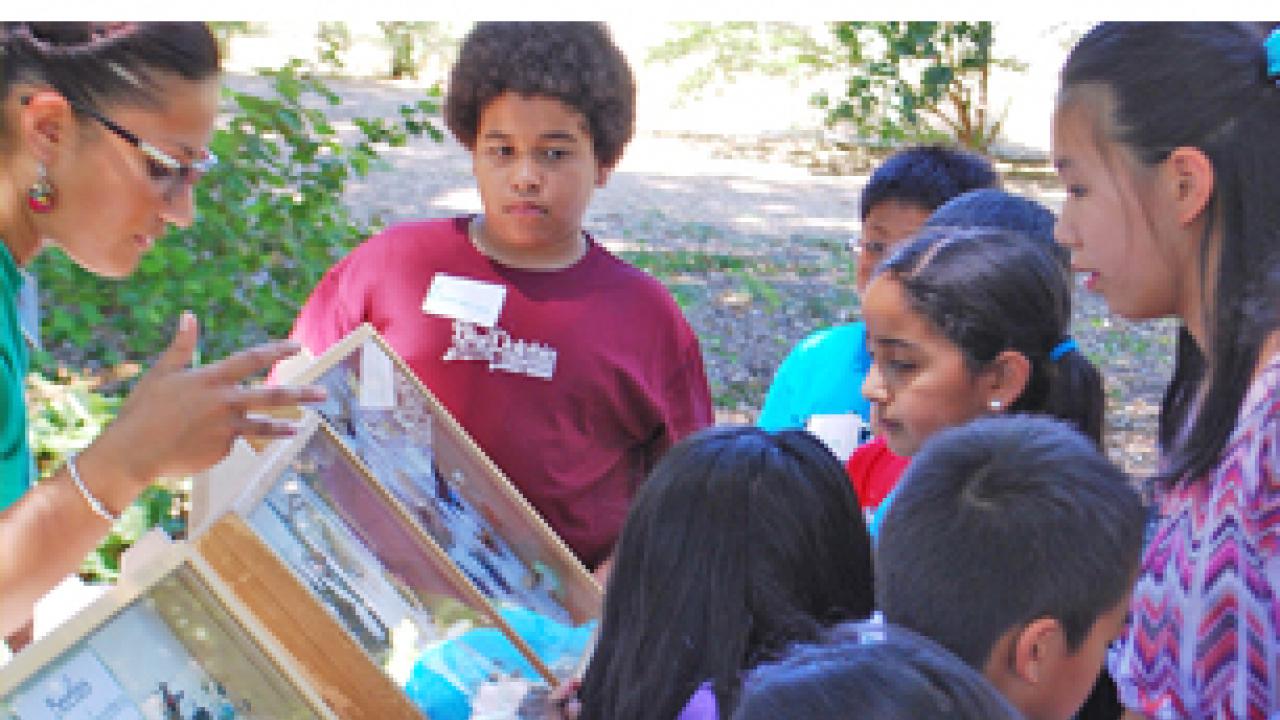 Attendees at Sunday’s all-ages Pollinator Discovery Day event will learn about best pollinator gardening practices while celebrating bees, hummingbirds butterflies and more! Learning about pollinators