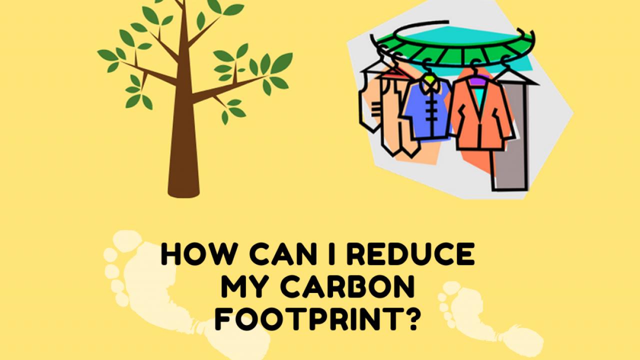 See the Arboretum Ambassador's guide to simple swaps you can make to reduce your carbon footprint. Yellow background with graphic of tree and hanging laundry.