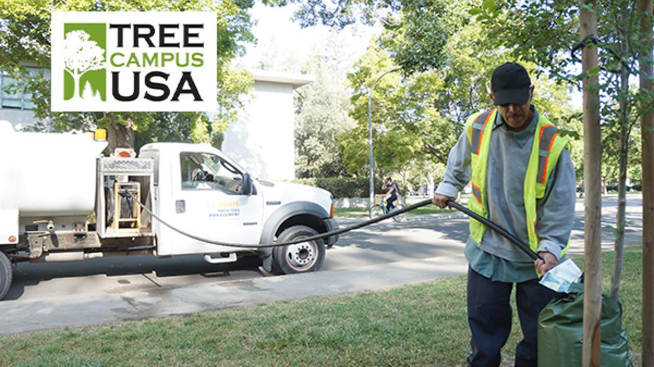 Willie Hernandez, groundskeeper with UC Davis grounds and landscape services