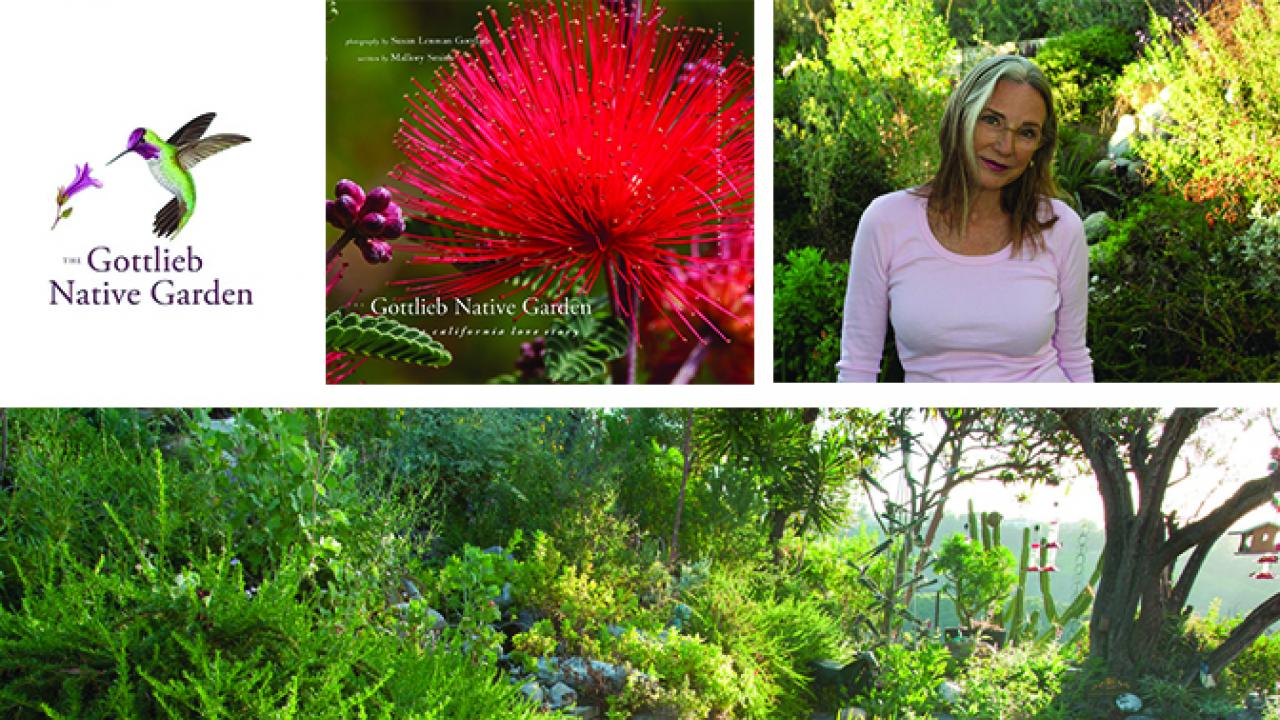 Images related to the Gottleib Native Garden.