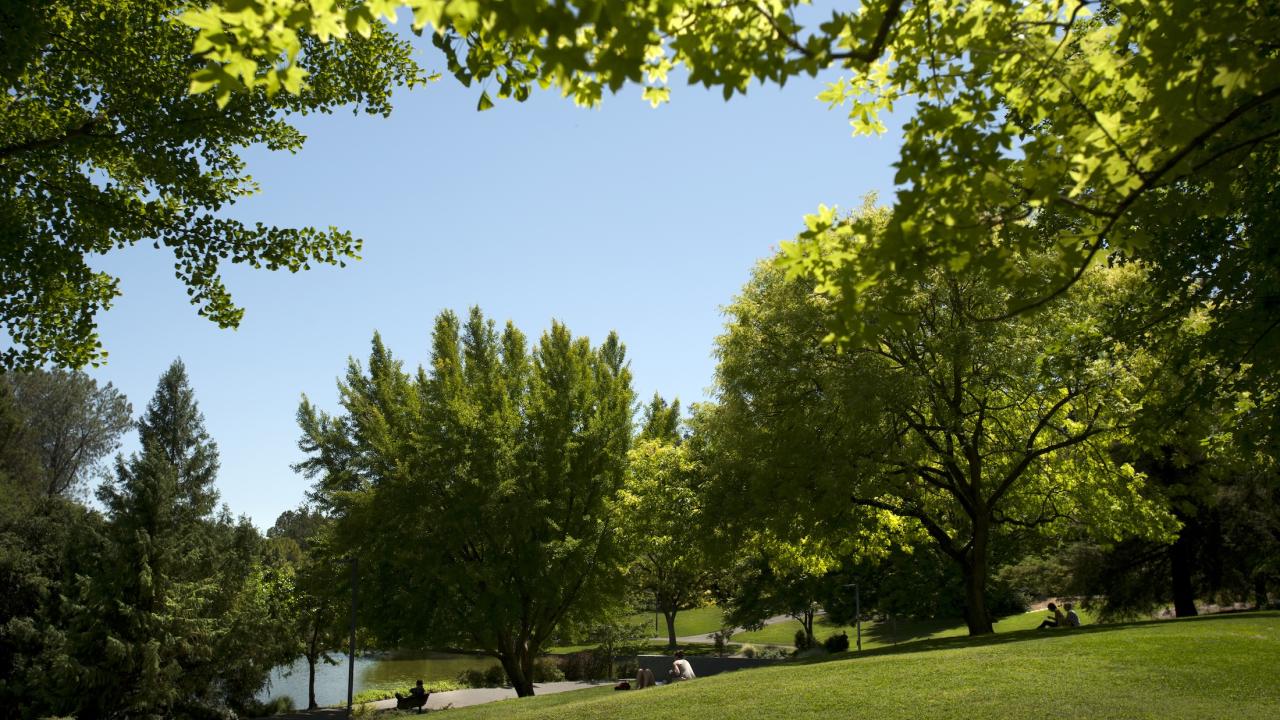 People relax in the shade of leafy trees around Lake Spafford.
