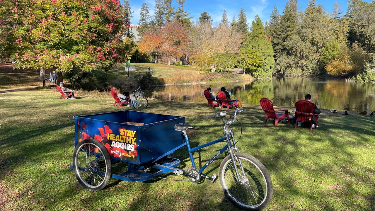 Chair Share - Lake Spafford Aboretum