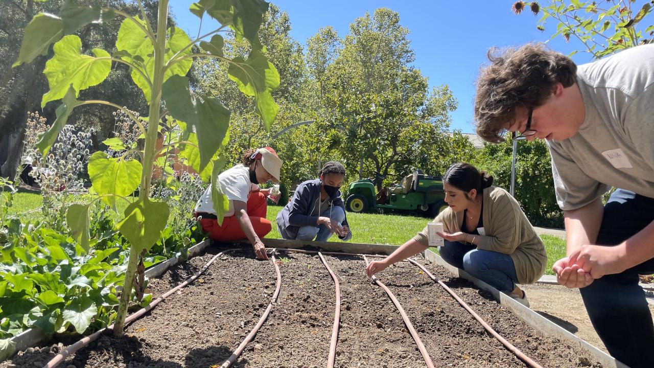 Volunteers in the Good Life Garden