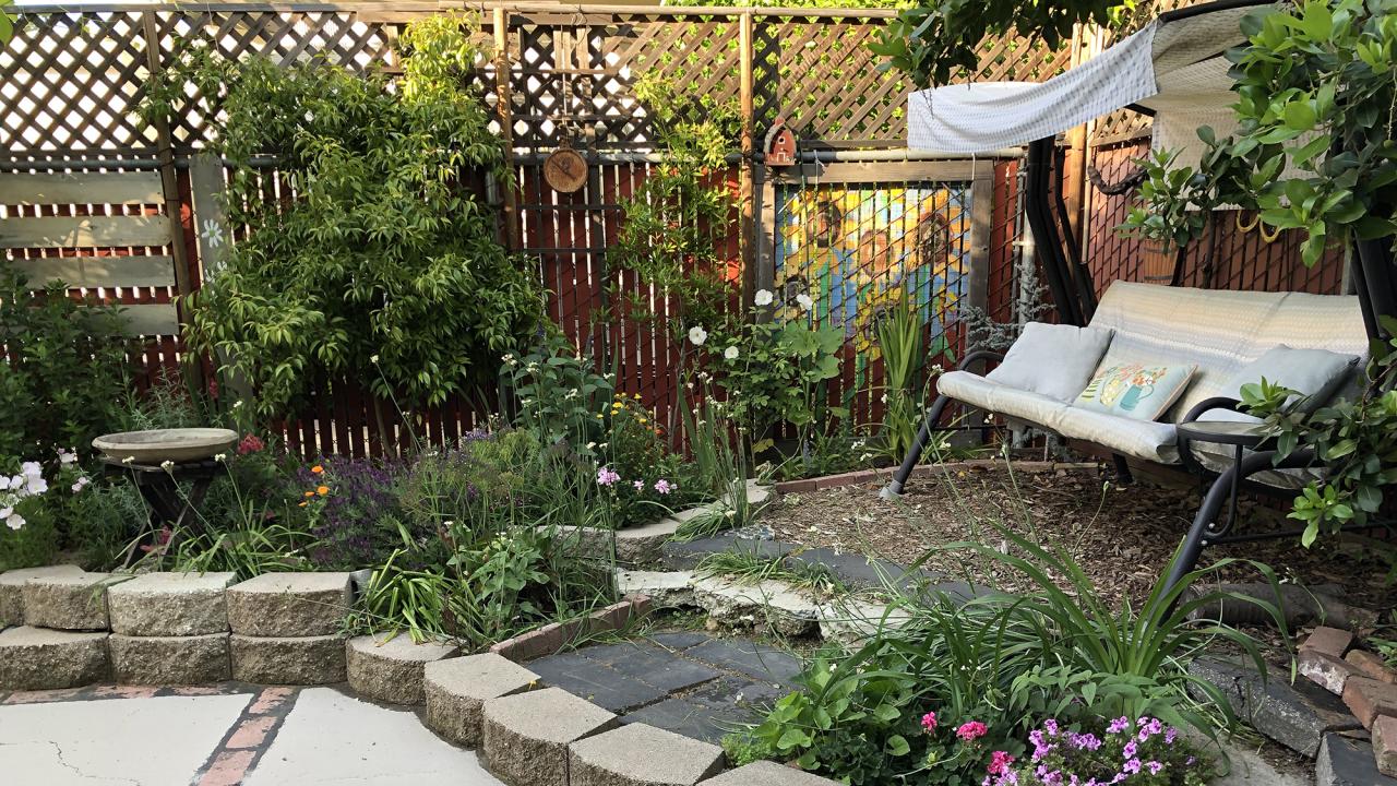 Debbie Tucker's garden